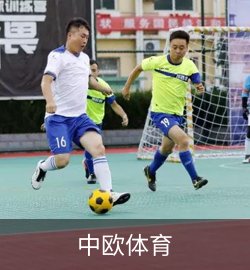 精选案例